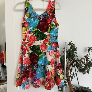 Peppermint Floral Sleeveless V-neck A-line Mini Dress